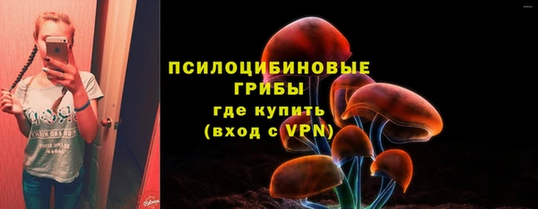 трава Балахна