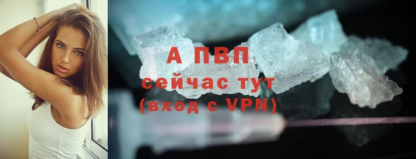spice Баксан