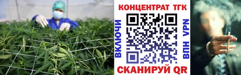 магазин    Томилино  ТГК гашишное масло 